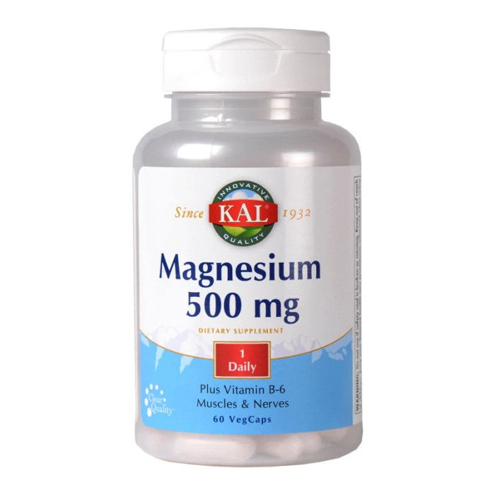 Magnesium 500mg (60 capsule)