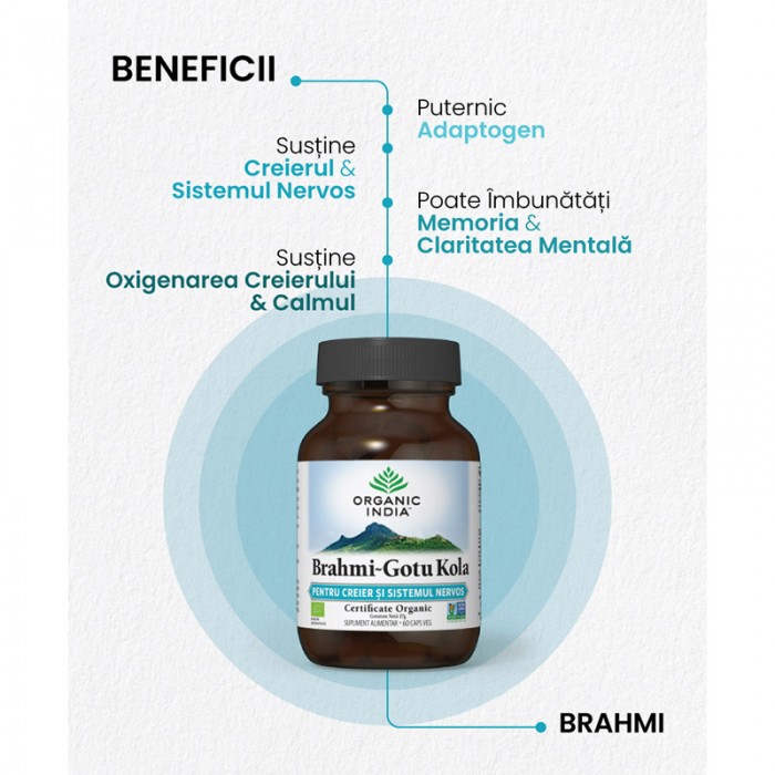 Brahmi - Gotu Kola - creier si sistem nervos (60 capsule), Organic India
