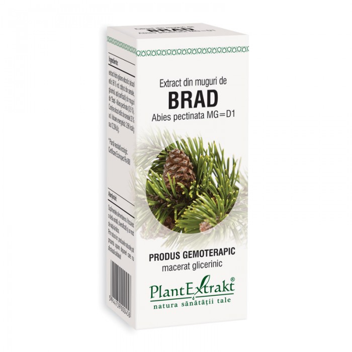 Extract din muguri de brad - Abies Pectinata (50 ml), Plantextrakt