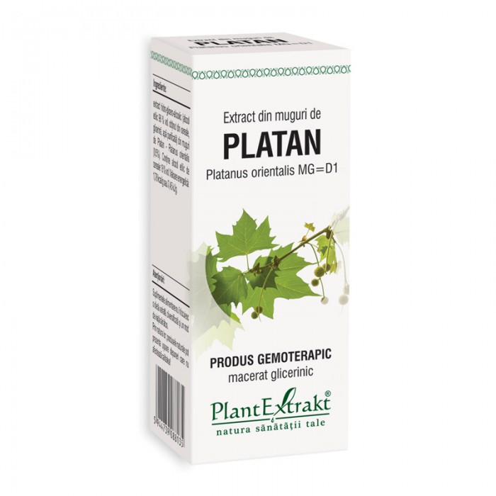Extract din muguri de platan - Platanus Orientalis MG=D1 (50 ml), Plantextrakt