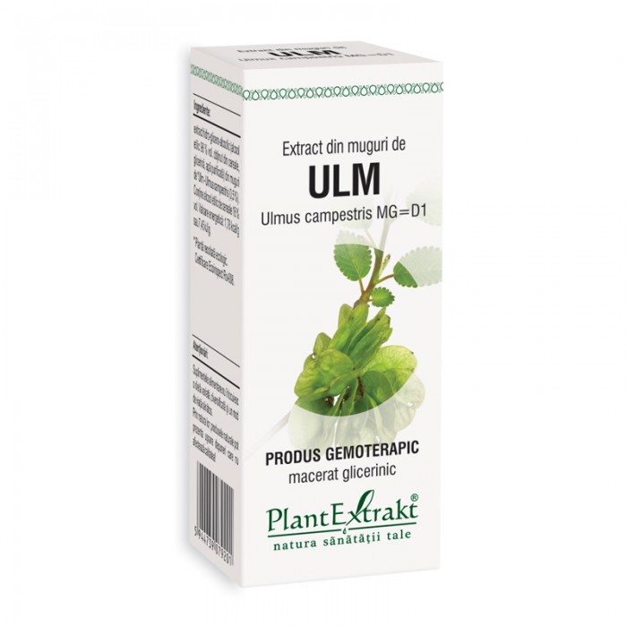 Extract din muguri de ulm - Ulmus Campestris MG=D1 (50 ml), Plantextrakt