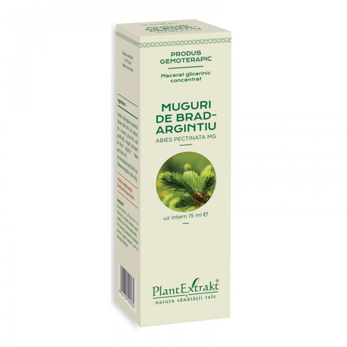 Macerat glicerinic concentrat din muguri de brad - Abies Pectinata (15 ml), Plantextrakt