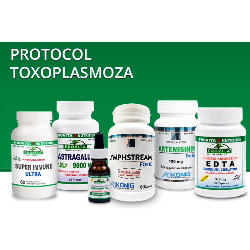 Protocol Toxoplasmoza, Provita Nutrition